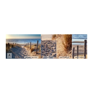 Campione Di Fotomurale Standard Eco - Rumore del mare, uccelli che cantano, spiaggia selvatica tra i cespugli... - Paesaggio, Spiaggia, Dune - 100x30 cm