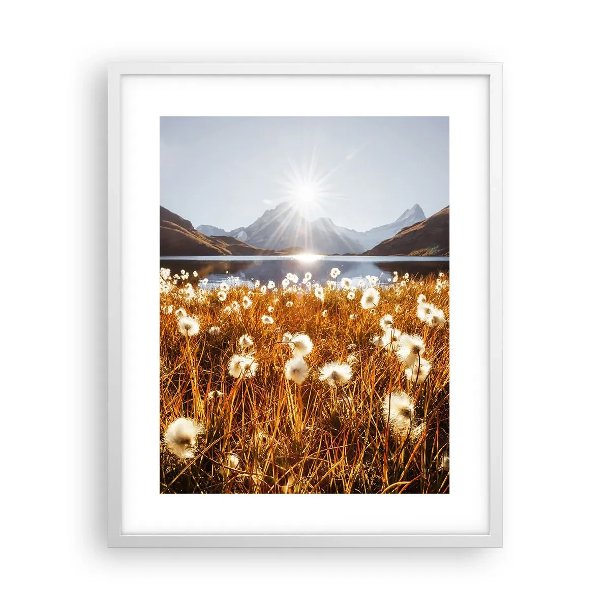 Poster in cornice bianca - Durezza delle pietre, morbidezza dell'erba - 40x50 cm