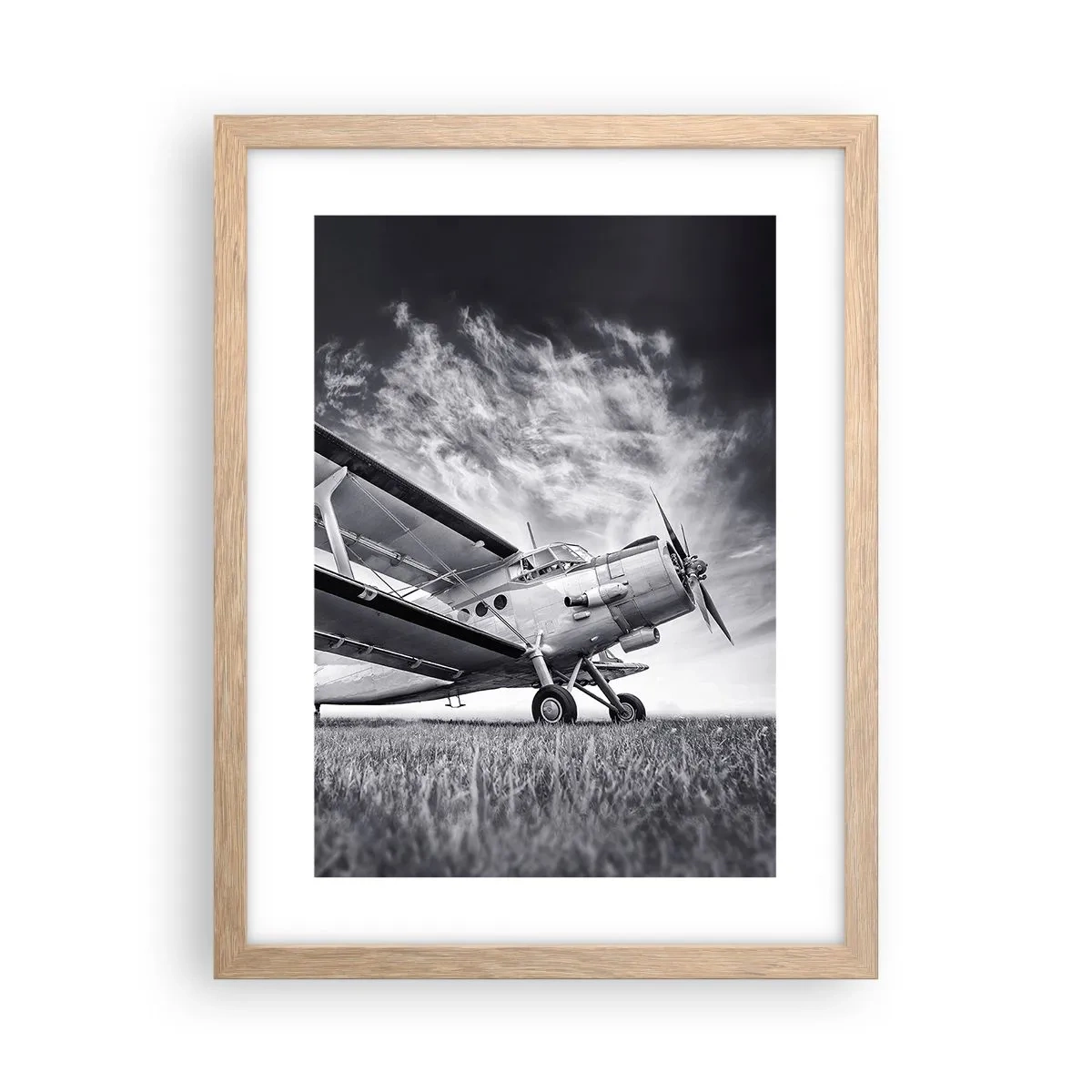 Poster in cornice rovere chiaro - Giramondo alato - 30x40 cm