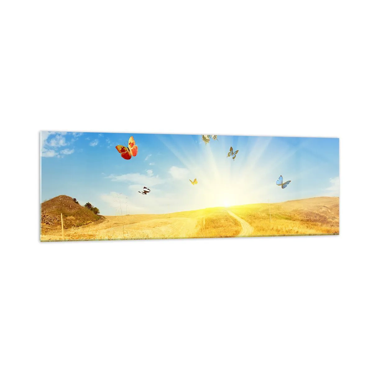 Quadro su vetro - Un campo dorato, un sentiero e farfalle contro un cielo azzurro - 160x50cm - Come non amare l'estate? - Decorazione murale moderna per soggiorno e camera da letto ARTTOR