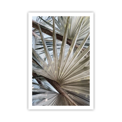 Poster - Ventagli dei tropici - 61x91 cm