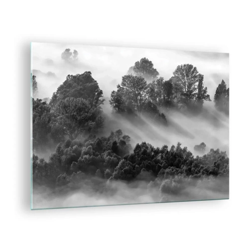 Quadro su vetro - Foresta nebbiosa alla luce del sole in bianco e nero - 70x50cm - Risveglio dal sonno - Decorazione murale moderna per soggiorno e camera da letto ARTTOR