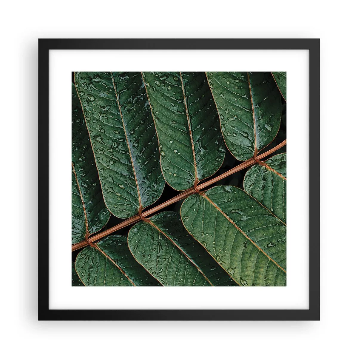 Poster in cornice nera - Al ritmo verde - 40x40 cm