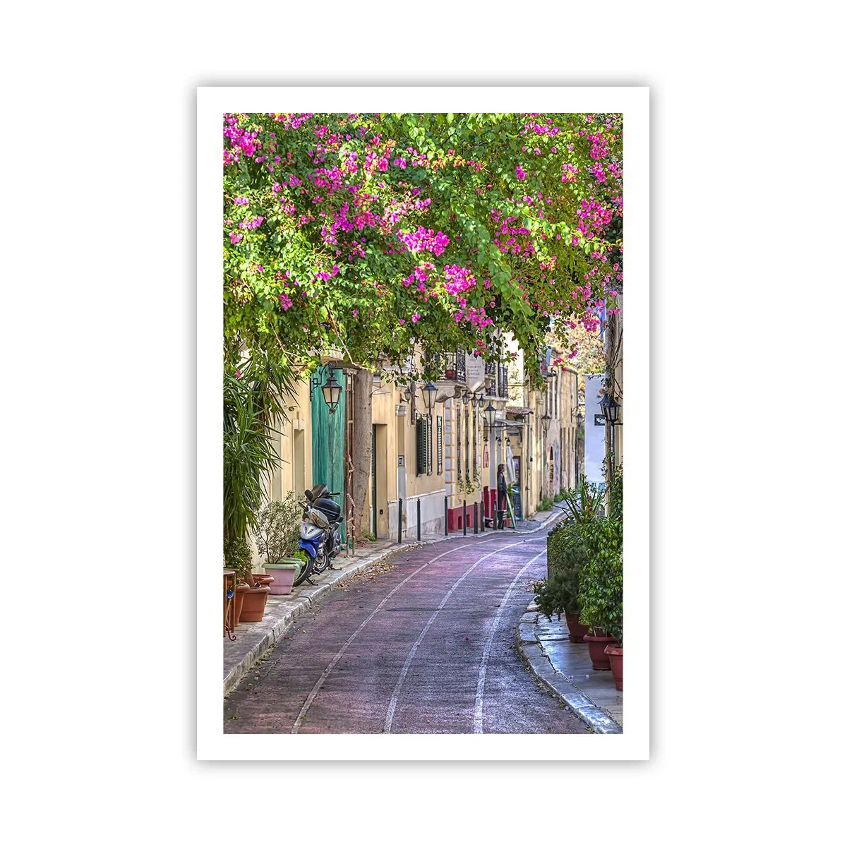 Poster - Angolo fiorito - 61x91 cm