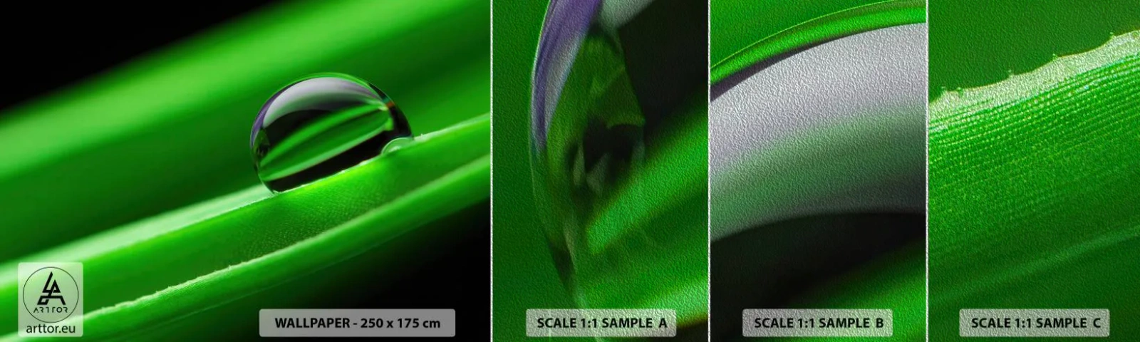 Campione di Fotomurale Premium Sand - La vita da vicino - Astrazione, Grafica, Una goccia d'acqua - 100x30 cm