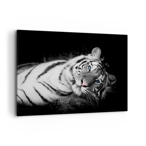 Quadro su tela - Stampe su Tela - Una tigre bianca artisticamente raffigurata su uno sfondo nero - 120x80cm - Selvaggità e pace - Decorazione murale moderna per soggiorno e camera da letto ARTTOR