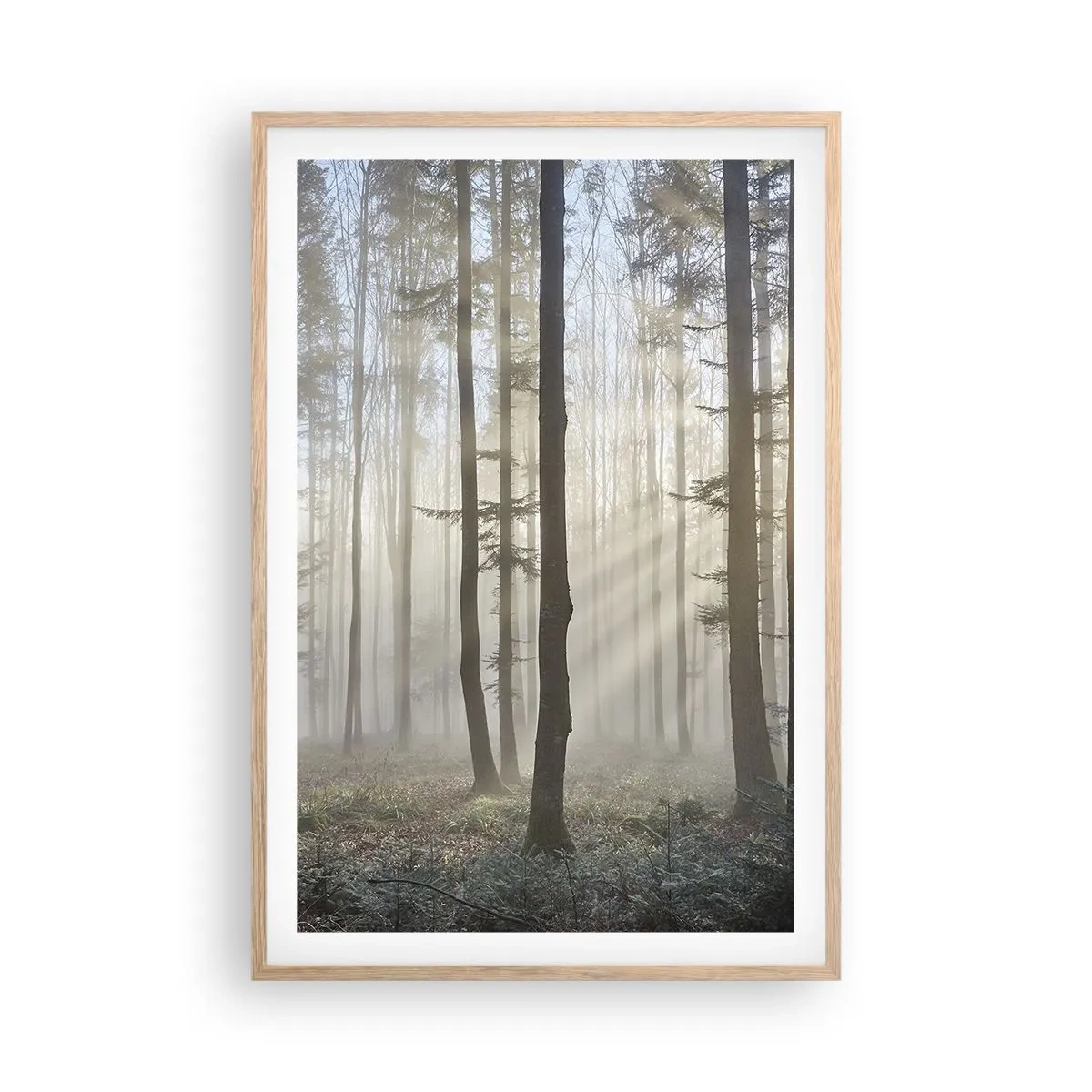 Poster in cornice rovere chiaro - Anche la nebbia si è svegliata - 61x91 cm