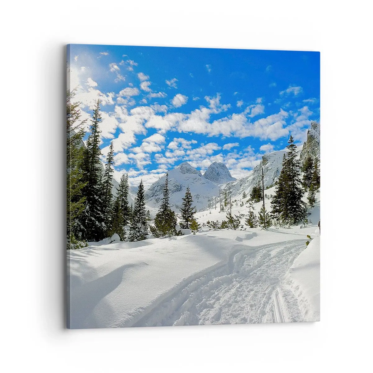 Quadro su tela - Stampe su Tela - Nella neve e nel sole - 70x70 cm