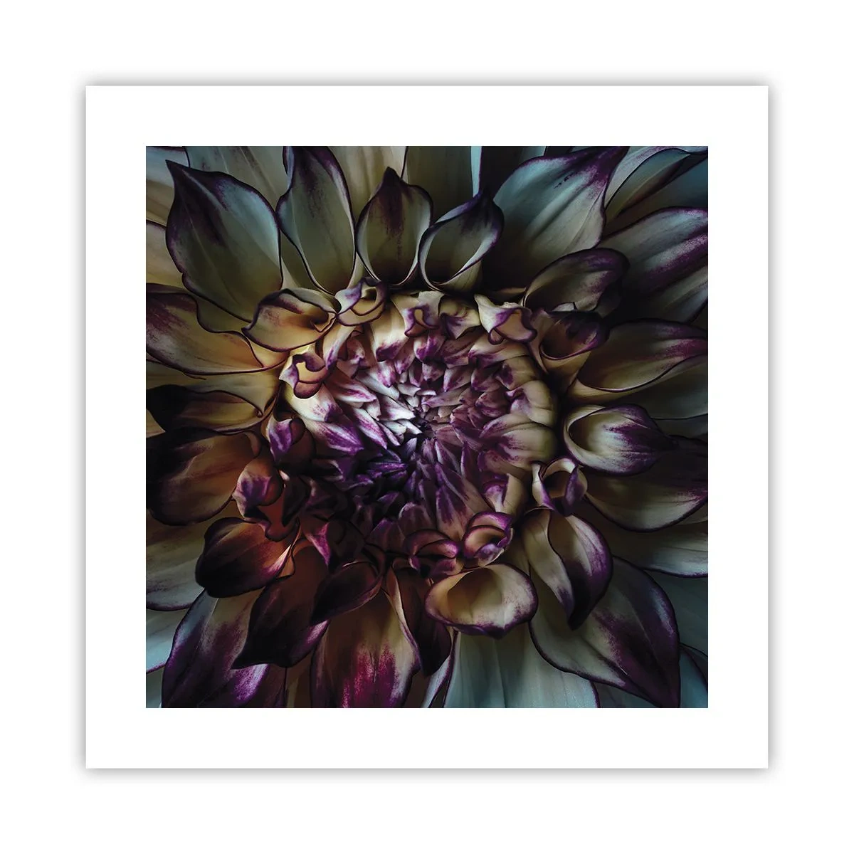 Poster - Il rigoglio della giovinezza - 40x40 cm