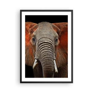 Poster in cornice nera - Ritratto di un maestoso elefante su sfondo nero - 50x70cm - Sono selvaggio e tu? - Decorazione murale moderna per soggiorno e camera da letto ARTTOR