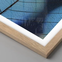 Rovere chiaro