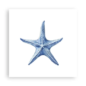 Poster - Stella marina - 40x40 cm
