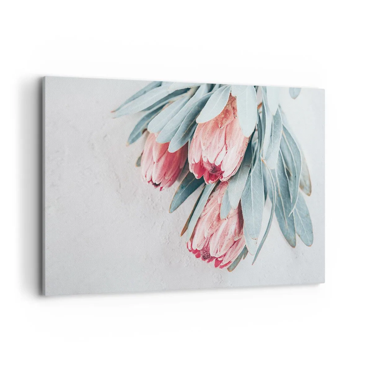 Quadro su tela - Stampe su Tela - Delicati fiori di protea rosa su uno sfondo chiaro - 100x70cm - Imbarazzati per la propria bellezza - Decorazione murale moderna per soggiorno e camera da letto ARTTOR