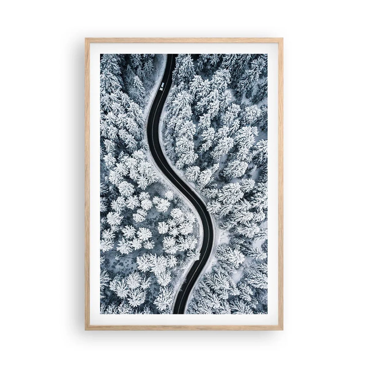 Poster in cornice rovere chiaro - Attraverso il bosco invernale - 61x91 cm