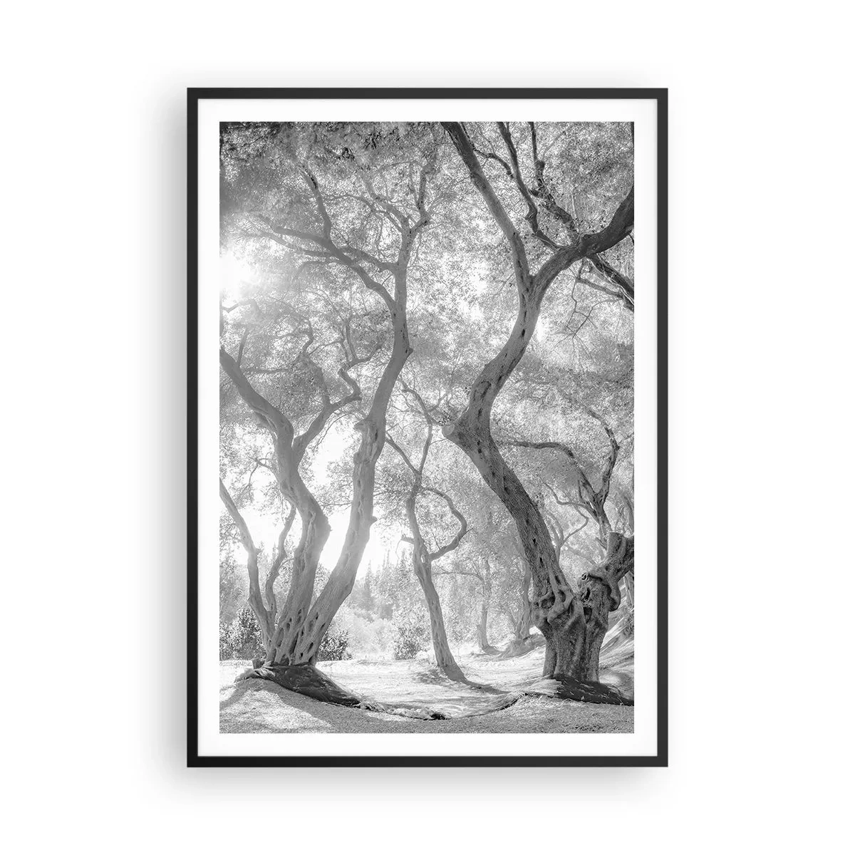 Poster in cornice nera - Nell'orto degli ulivi - 70x100 cm