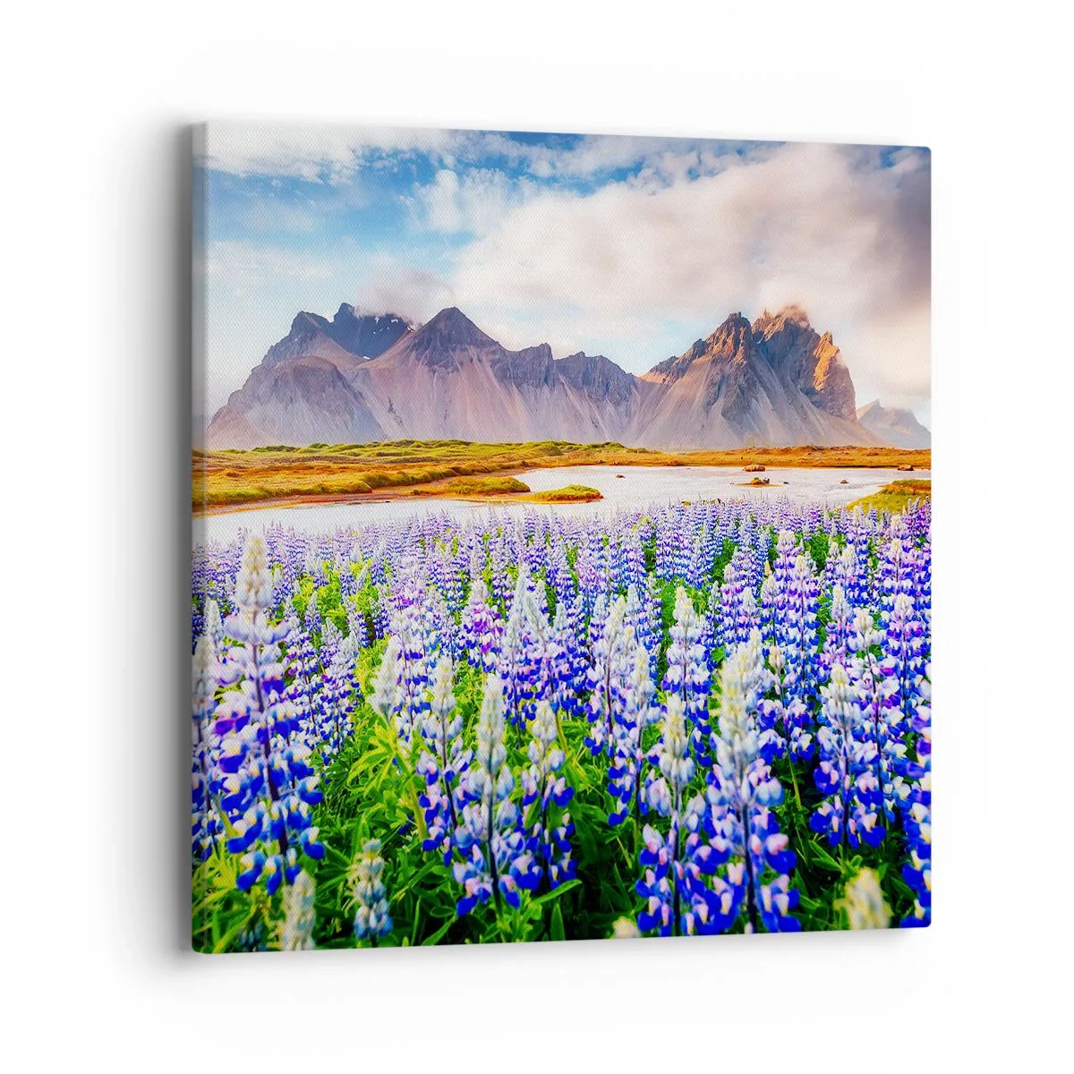 Quadro su tela - Stampe su Tela - Forza e asprezza accanto alla mitezza - 40x40 cm