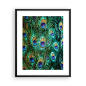 Poster in cornice nera - Lo sguardo del pavone - 40x50 cm