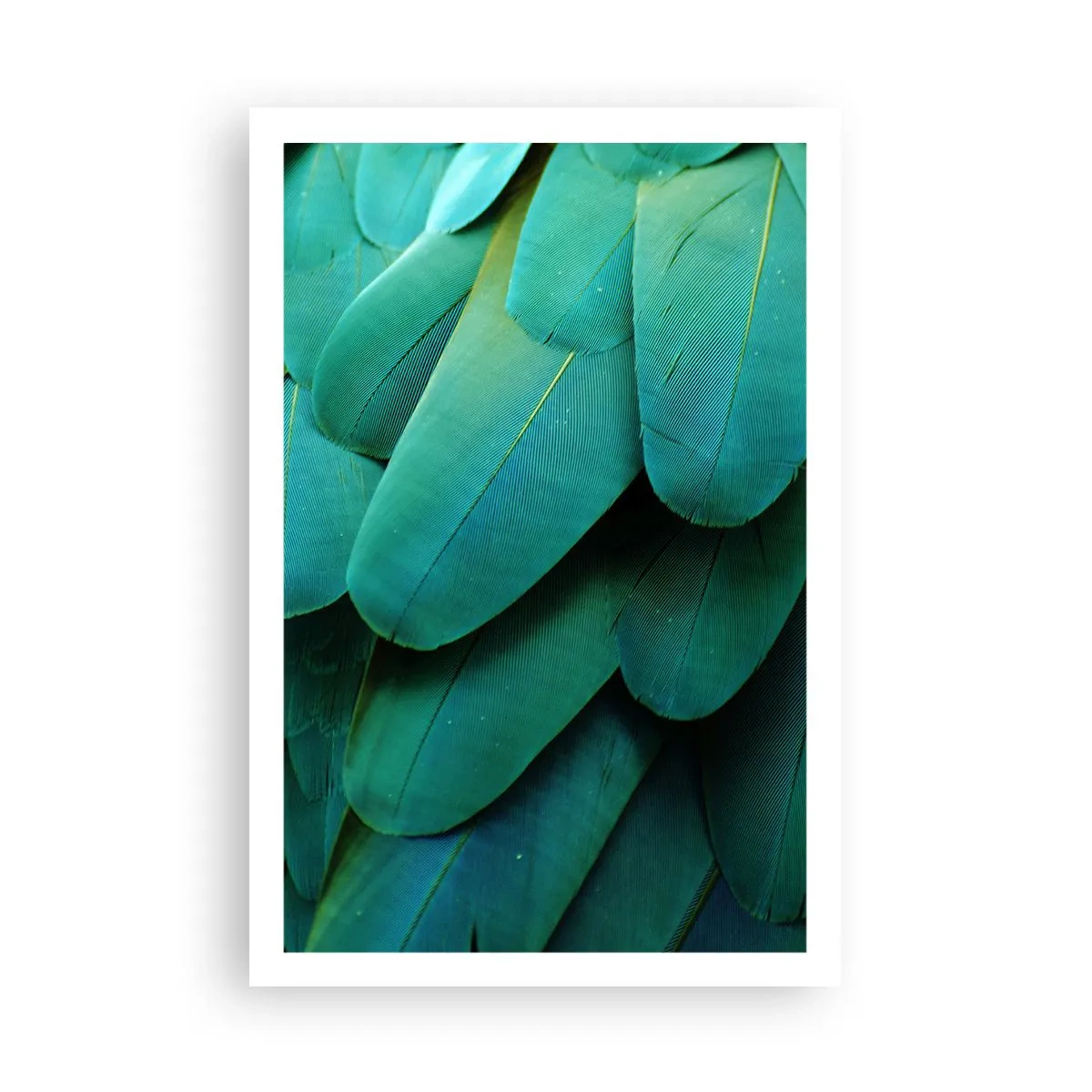 Poster - Precisione da pappagallo - 61x91 cm