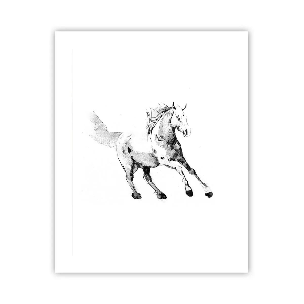 Poster - Anima indomabile - 40x50 cm