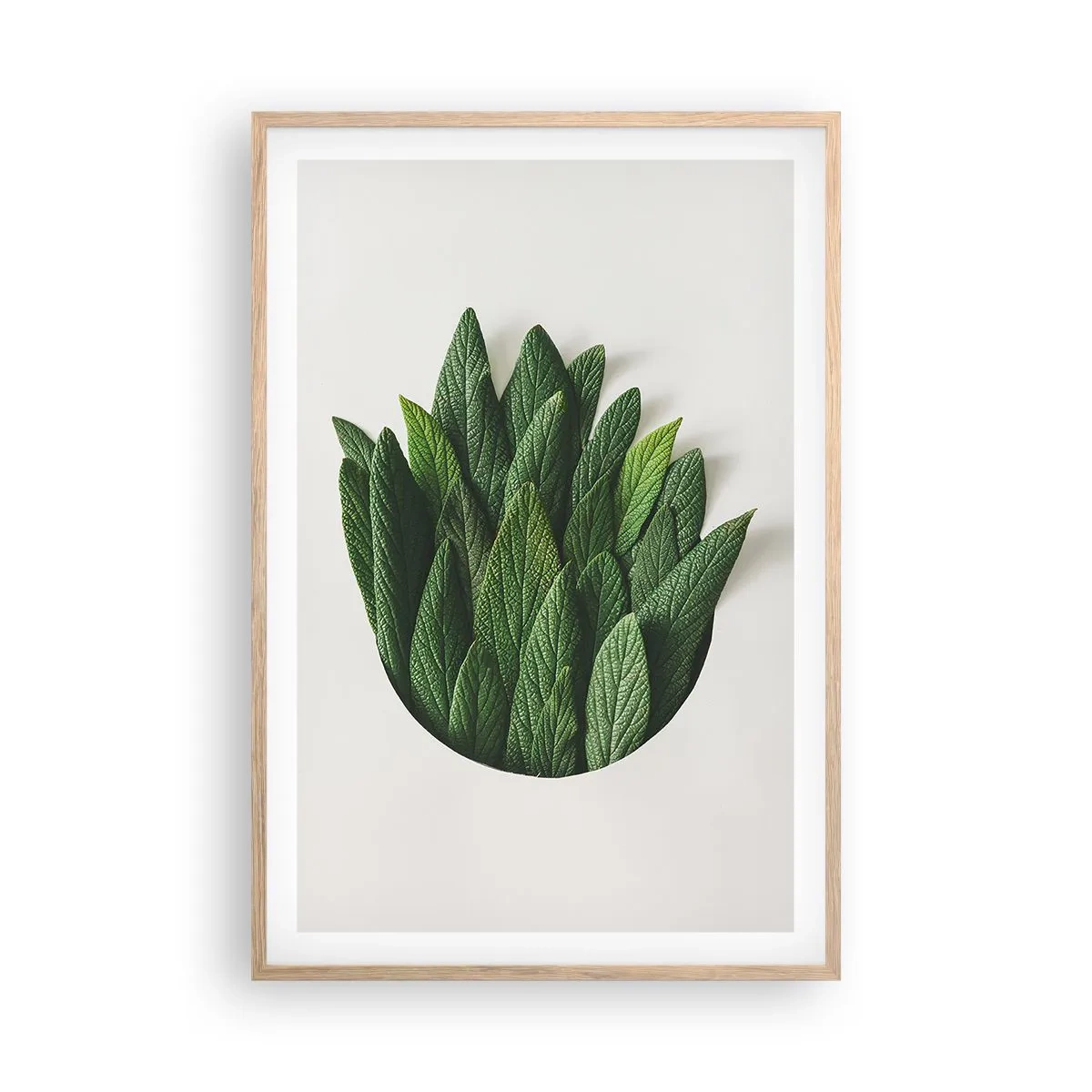 Poster in cornice rovere chiaro - Curiosità irrefrenabile - 61x91 cm