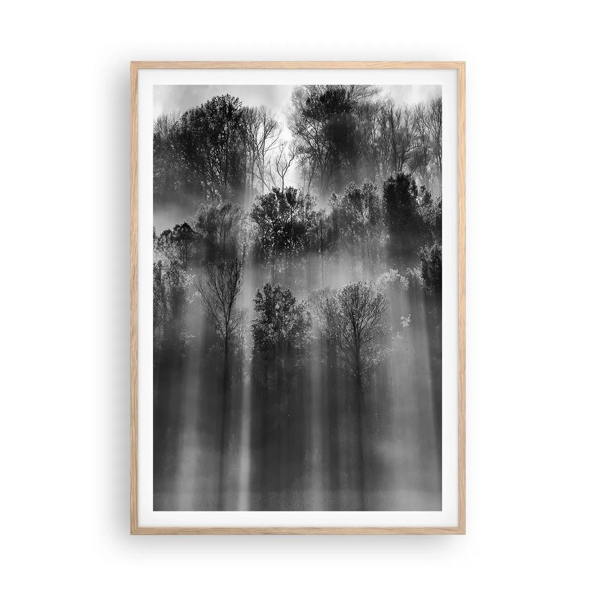 Poster in cornice rovere chiaro - Nei getti di luce - 70x100 cm