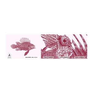 Campione di Fotomurale Adesivo Deluxe Sticker - Abitante di mari esotici - Pescare, Pesce leone, Tropicale - 100x30 cm