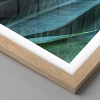 Rovere chiaro