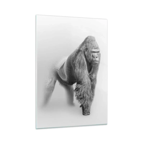 Quadro su vetro - Ritratto in bianco e nero di un maestoso gorilla su sfondo bianco - 50x70cm - Sicuro della propria forza - Decorazione murale moderna per soggiorno e camera da letto ARTTOR