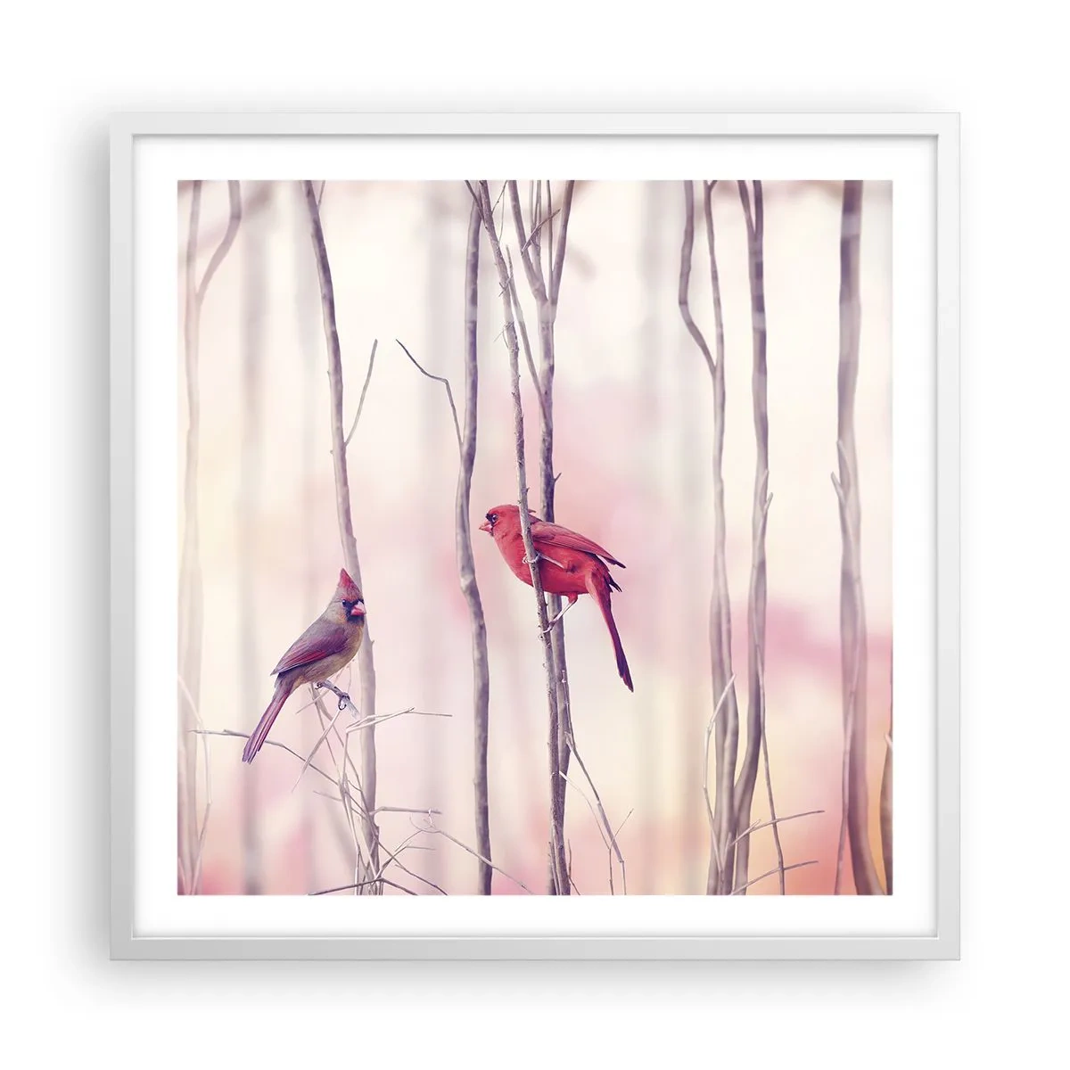 Poster in cornice bianca - Il racconto del bosco rosa - 60x60 cm
