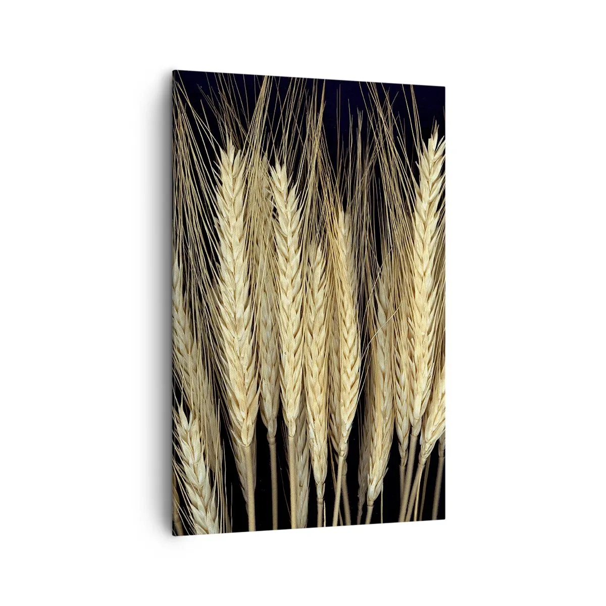 Quadro su tela - Stampe su Tela - Spighe di grano su sfondo nero in stile rustico - 80x120cm - Magia rustica - Decorazione murale moderna per soggiorno e camera da letto ARTTOR