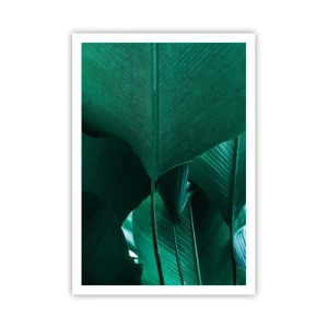 Poster - Verso la luce - 70x100 cm