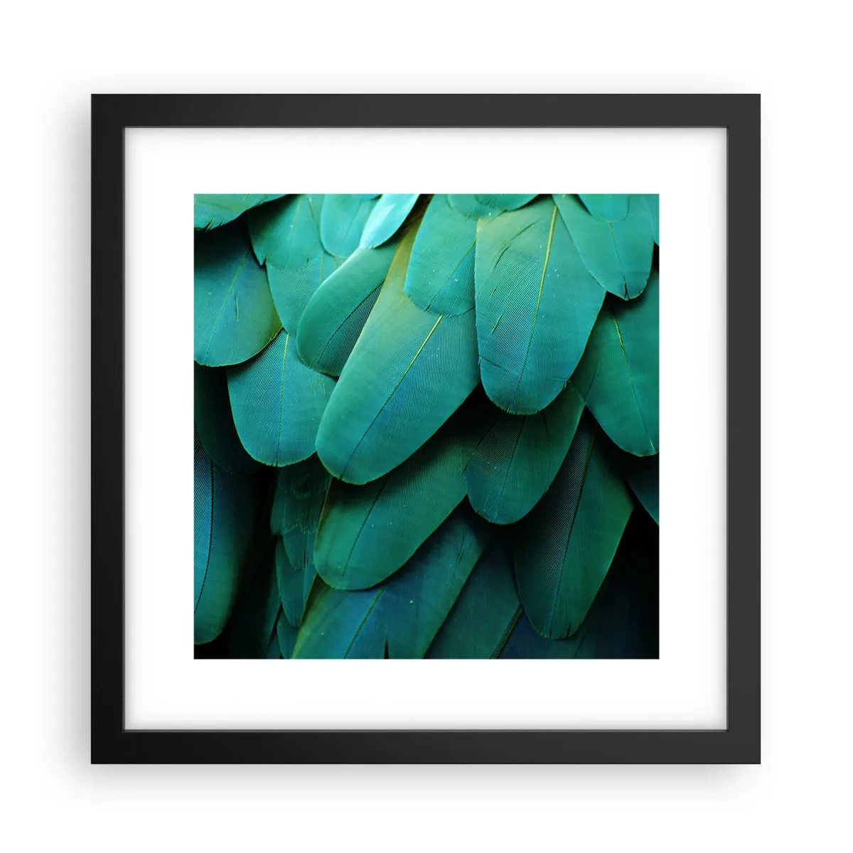 Poster in cornice nera - Precisione da pappagallo - 30x30 cm