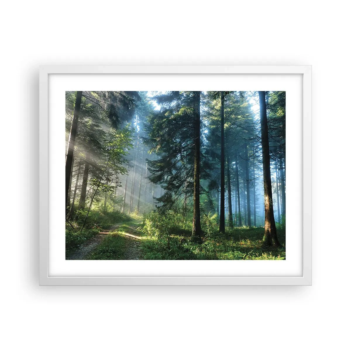 Poster in cornice bianca - Raggiante all'alba - 50x40 cm