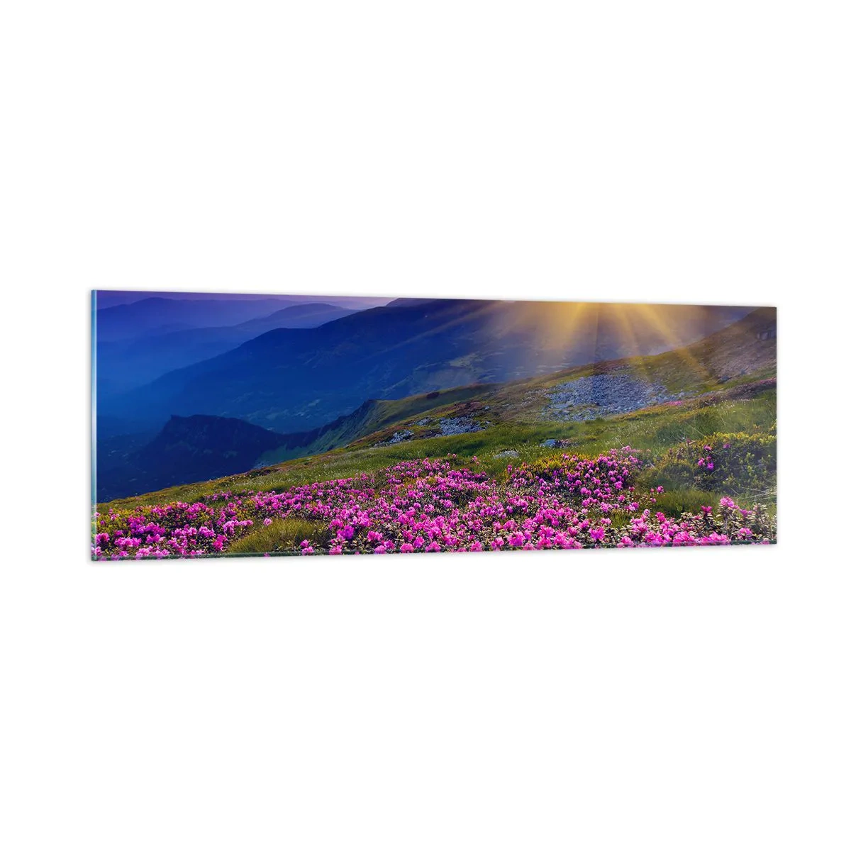 Quadro su vetro - Odore di mugo e profumo di erbe - 90x30 cm