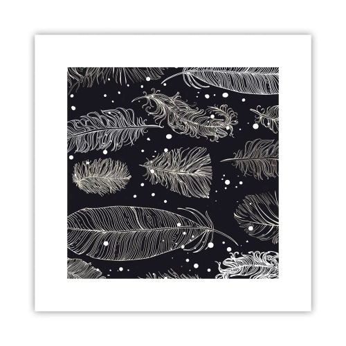 Poster - Pizzo piumato - 30x30 cm