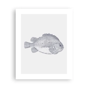 Poster - Nell'album del naturalista - 40x50 cm