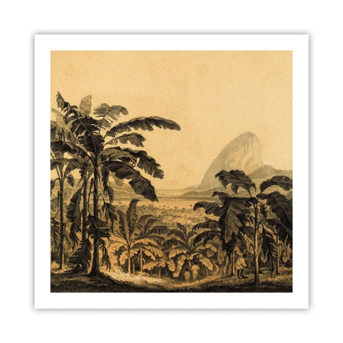 Poster - Nel clima coloniale - 60x60 cm