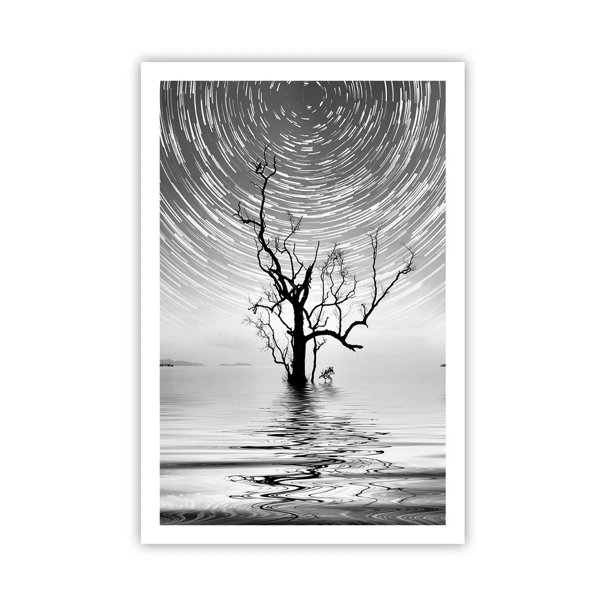 Poster - Sinfonia della natura - 61x91 cm