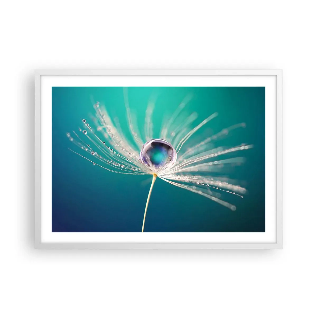 Poster in cornice bianca - Attimo mistico - 70x50 cm