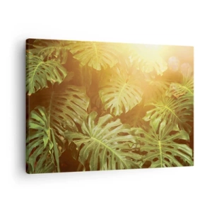 Quadro su tela - Stampe su Tela - Foglie di Monstera alla luce del sole su uno sfondo naturale - 70x50cm - Entrando nel verde... - Decorazione murale moderna per soggiorno e camera da letto ARTTOR