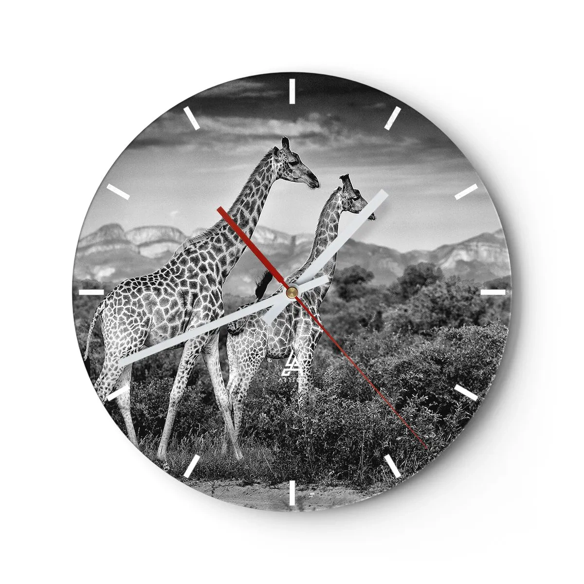 Orologio da parete - Orologio in Vetro - Una fotografia in bianco e nero di due giraffe nella savana. - 30x30cm - Alta classe in Africa - Decorazione murale moderna per soggiorno, cucina e camera da letto ARTTOR
