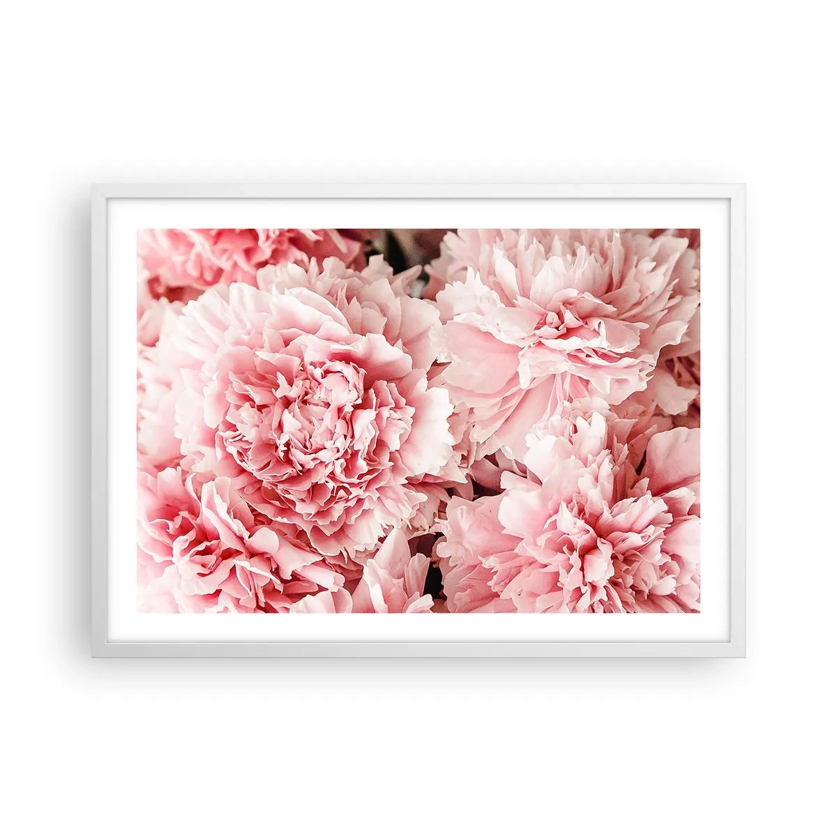 Poster in cornice bianca - Sogno rosa - 70x50 cm