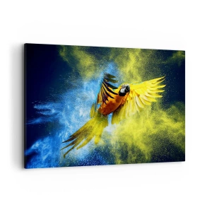 Quadro su tela - Stampe su Tela - Un pappagallo in volo sullo sfondo di esplosioni colorate di giallo e blu. - 120x80cm - Nella polvere gialla e blu - Decorazione murale moderna per soggiorno e camera da letto ARTTOR
