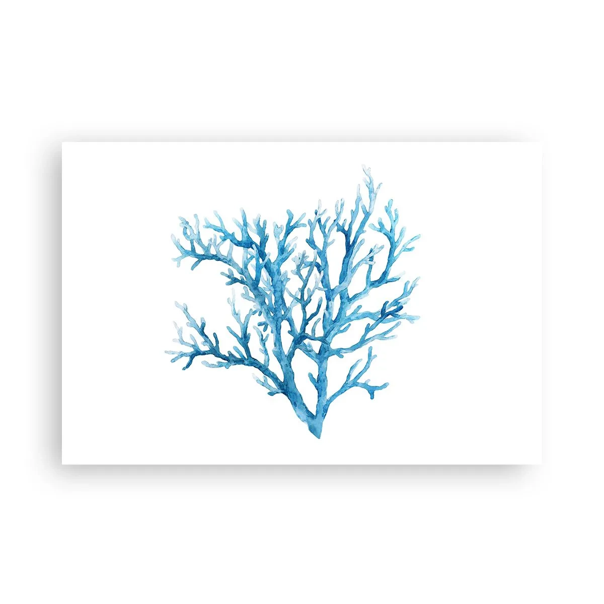 Poster - Filigrana marina - 91x61 cm