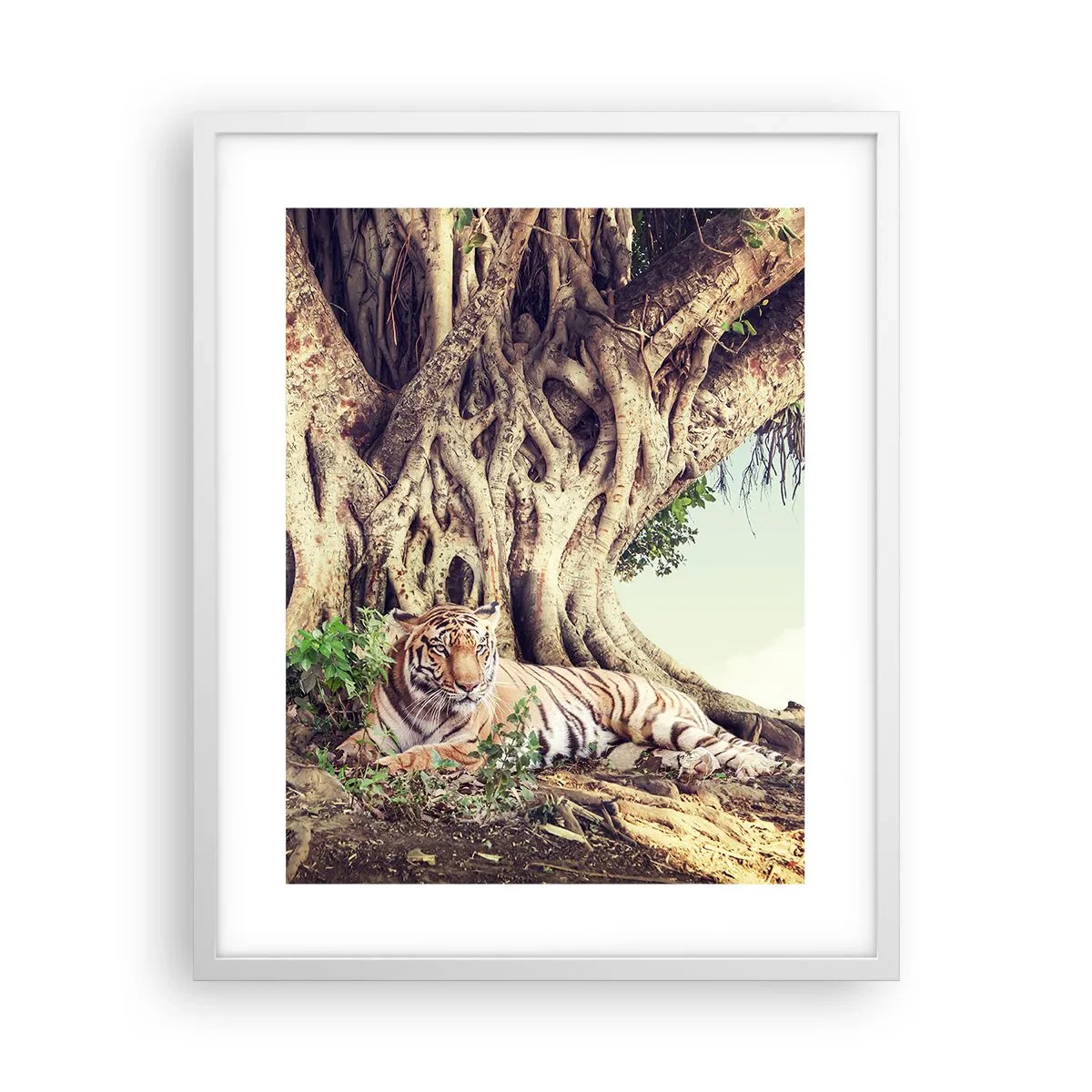 Poster in cornice bianca - Vista dal Libro della Genesi - 40x50 cm