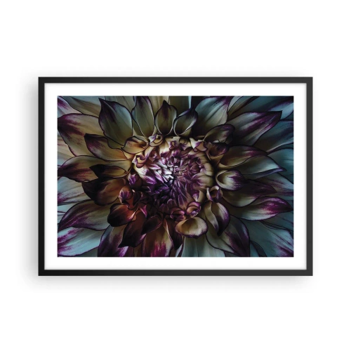 Poster in cornice nera - Primo piano di un fiore di dalia in toni scuri - 70x50cm - Il rigoglio della giovinezza - Decorazione murale moderna per soggiorno e camera da letto ARTTOR