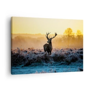 Quadro su tela - Stampe su Tela - Un cervo in una radura gelida all'alba - 70x50cm - Incoronato nelle sue terre - Decorazione murale moderna per soggiorno e camera da letto ARTTOR