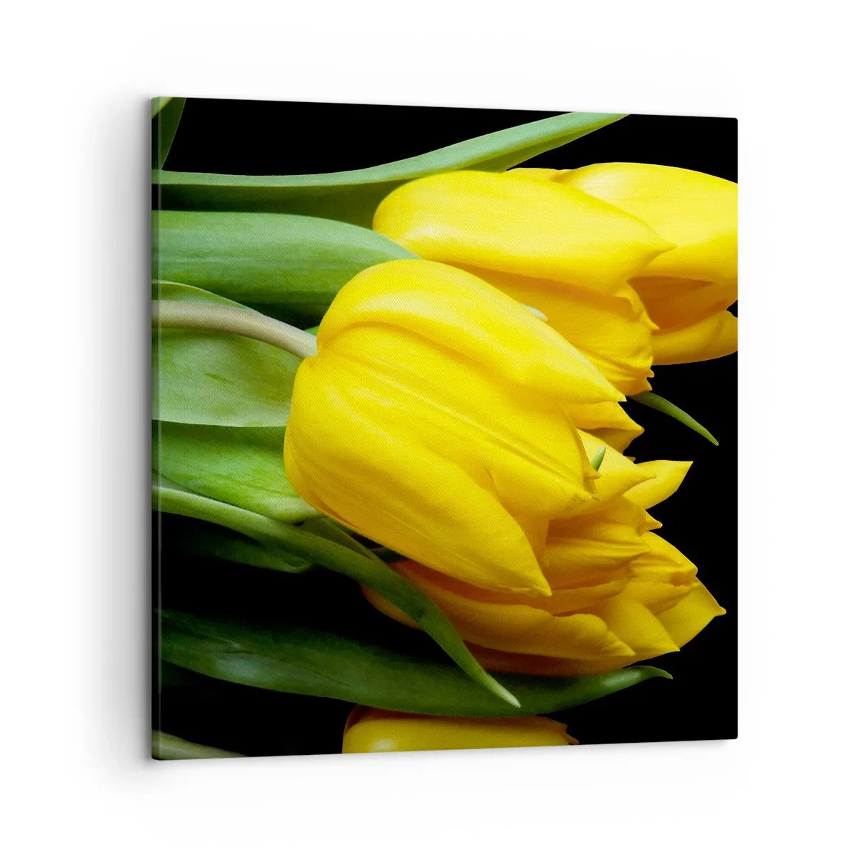 Quadro su tela - Stampe su Tela - Fatti di puro sole - 50x50 cm