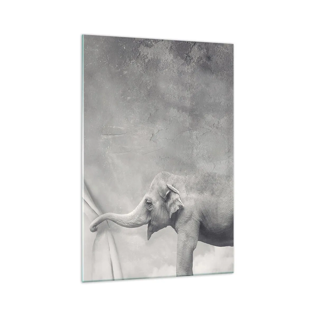 Quadro su vetro - Un elefante che scosta la tenda in una surreale ripresa in bianco e nero - 70x100cm - Svelare il mistero - Decorazione murale moderna per soggiorno e camera da letto ARTTOR