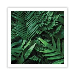 Poster - Avvolti nel verde - 60x60 cm